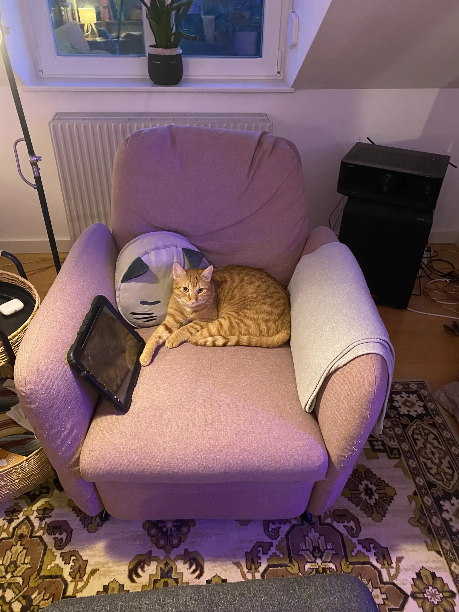 Gimli, my Orange cat, lounging on an armchair, next to a cat cushion