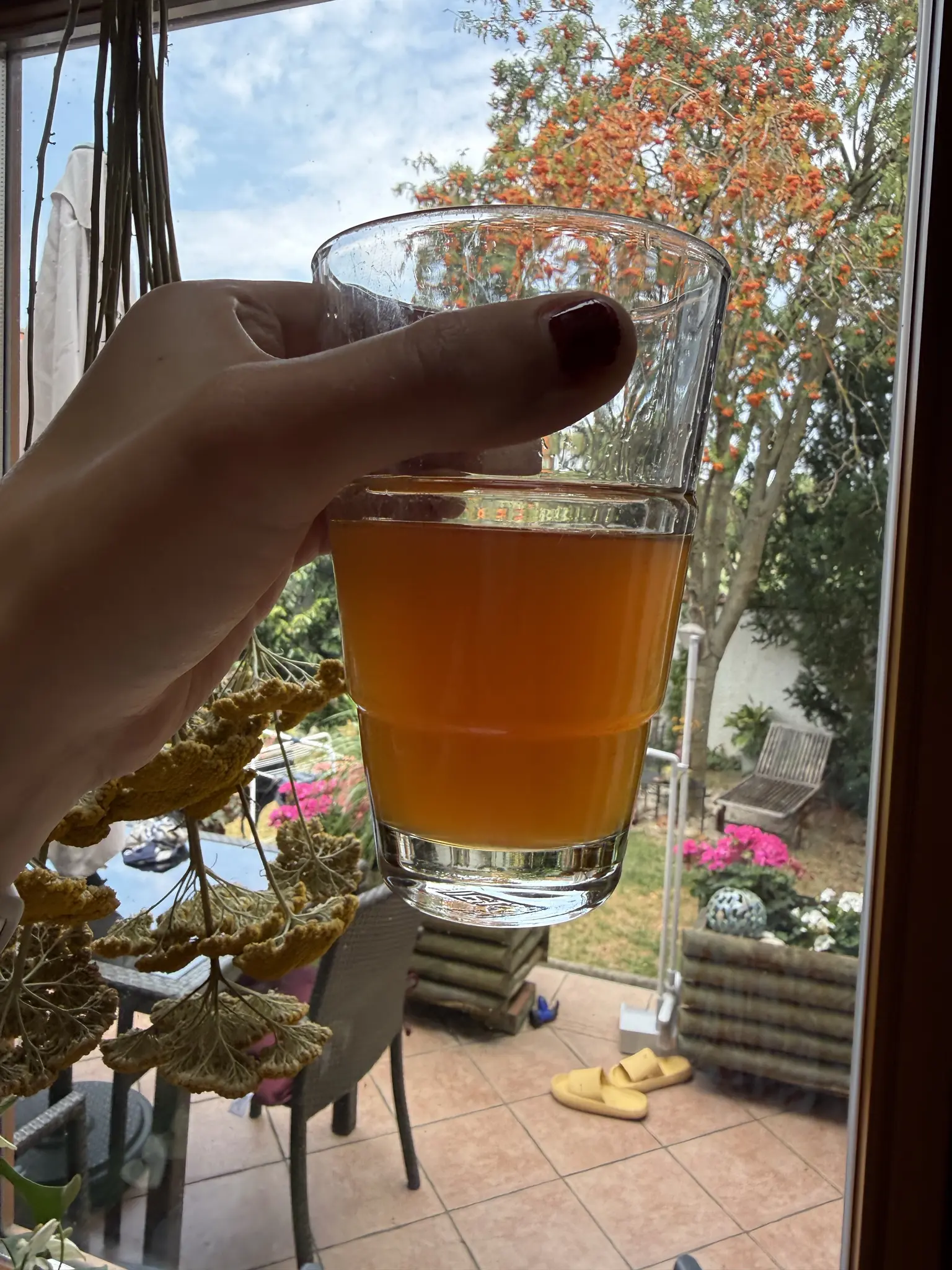 Ein Glas mit roten Jungbier in die Kamera gehalten, dahinter ein Fenster mit Terasse und Garten